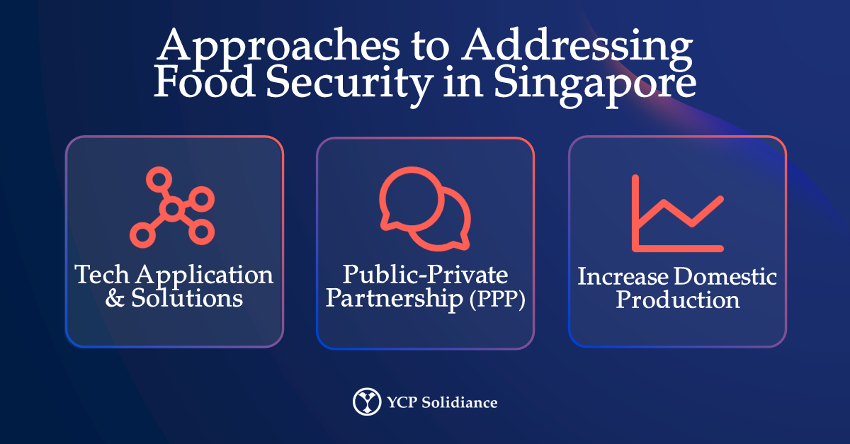 How Technology Can Address Food Security in Singapore